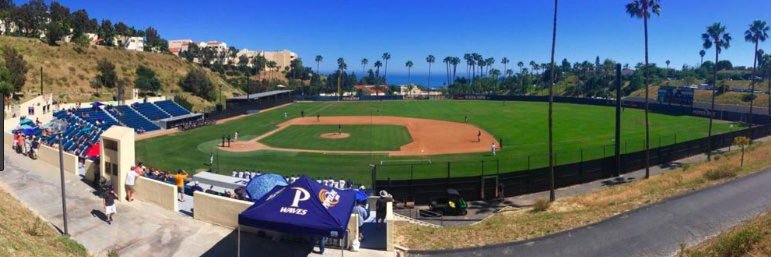 Dane Stankiewicz banner