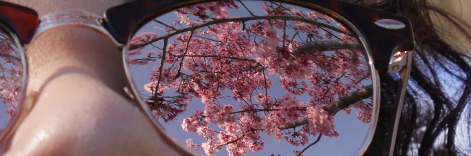 Amanda Alcaraz banner