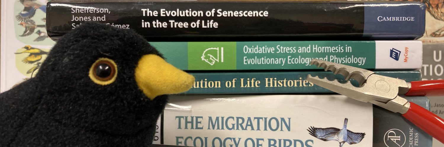 Pablo Salmón banner