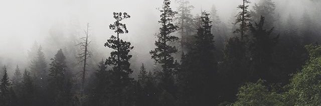 hotcupofjoel's profile banner image