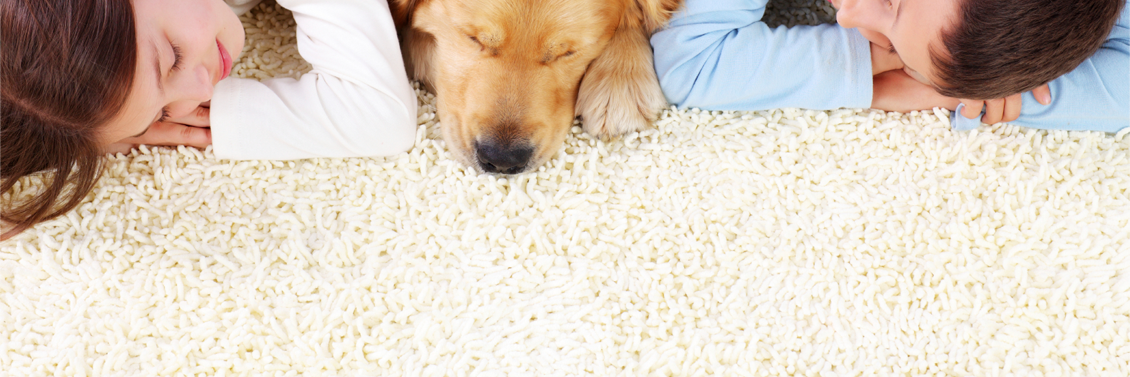 Vale Carpet Cleaning banner
