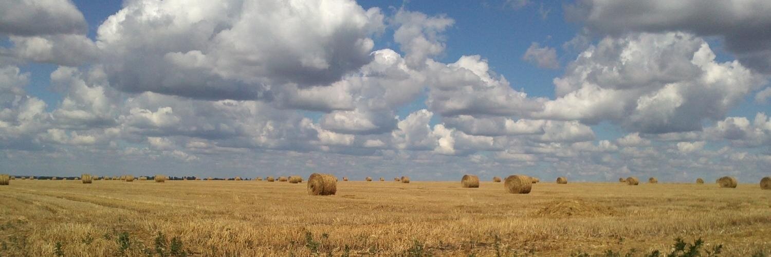 вячеслав демченко banner