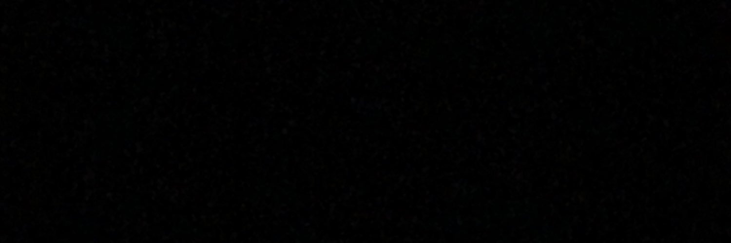 sanssprout's profile banner image