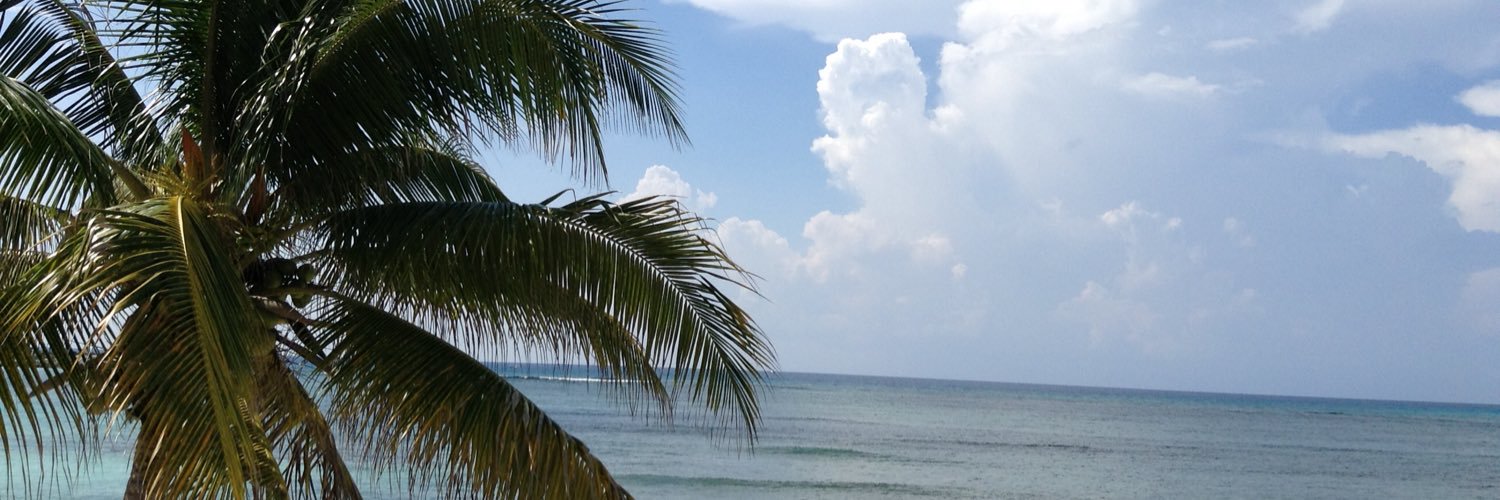 CindyRN banner