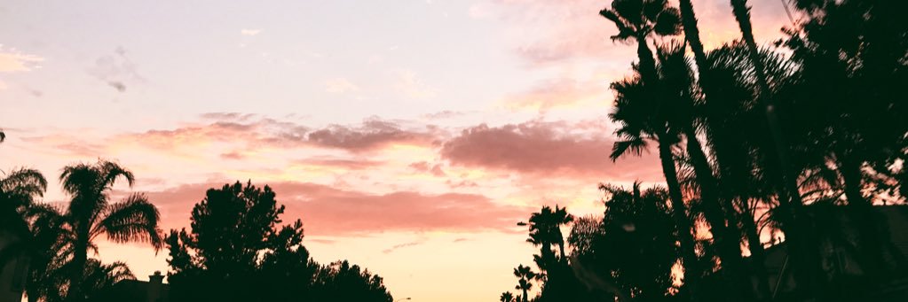taylerlanning's profile banner image