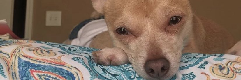 freaky ass barry banner