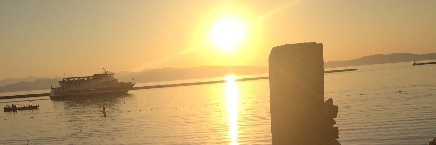 msmcmorris's profile banner image