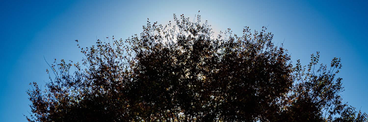 msk3296's profile banner image
