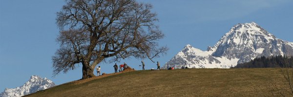 A_ARBRES Profile Banner