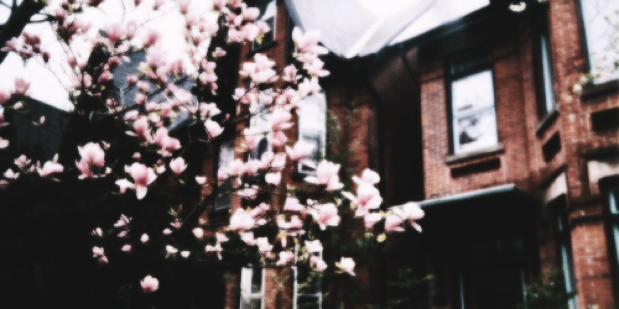 gemedestefanie's profile banner image