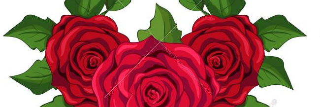 stylonerd's profile banner image