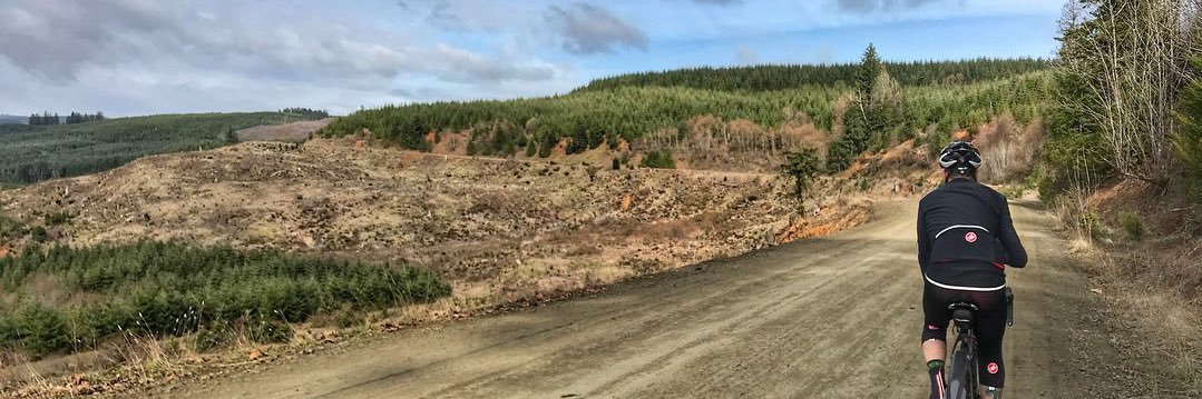 Philip Higgins banner