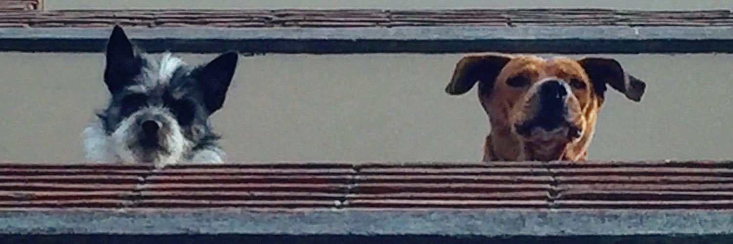 Edeloseme's profile banner image