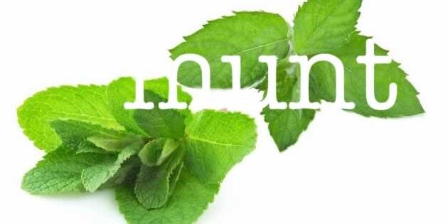 Tegenmunt's profile banner image