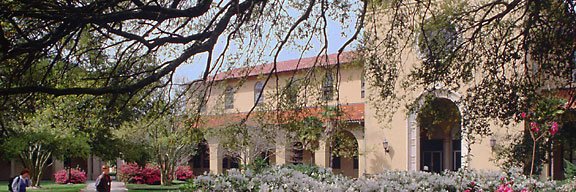LSU_MNS's profile banner image