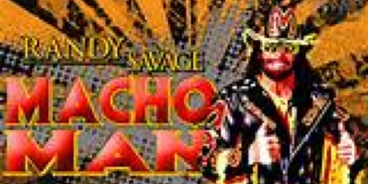 SavageForWWEHOF's profile banner image