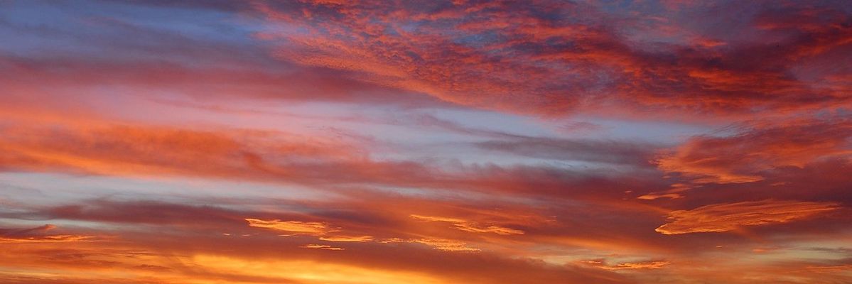 BrenPeverini's profile banner image