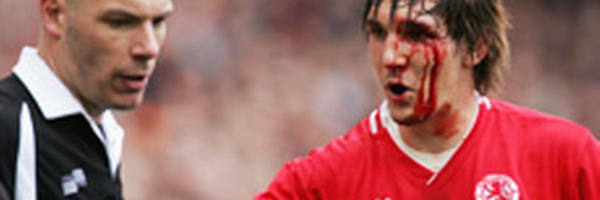 cнarlιe banner