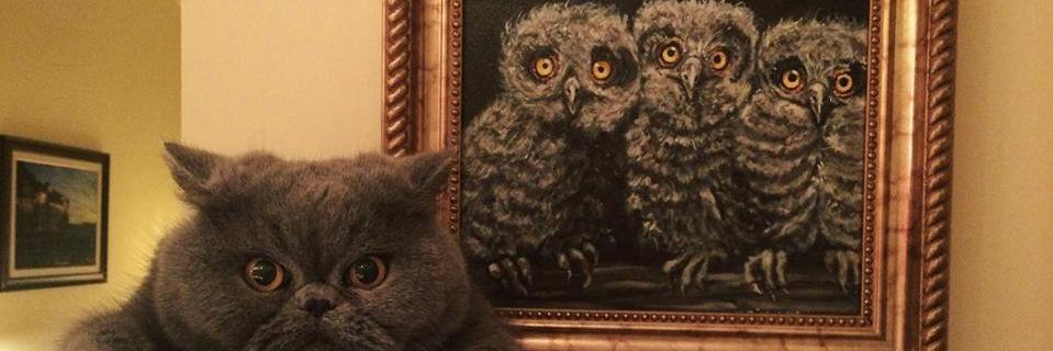 Kelley Greene banner