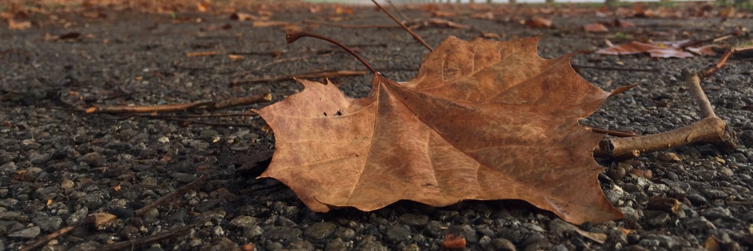 purposeofenvy's profile banner image