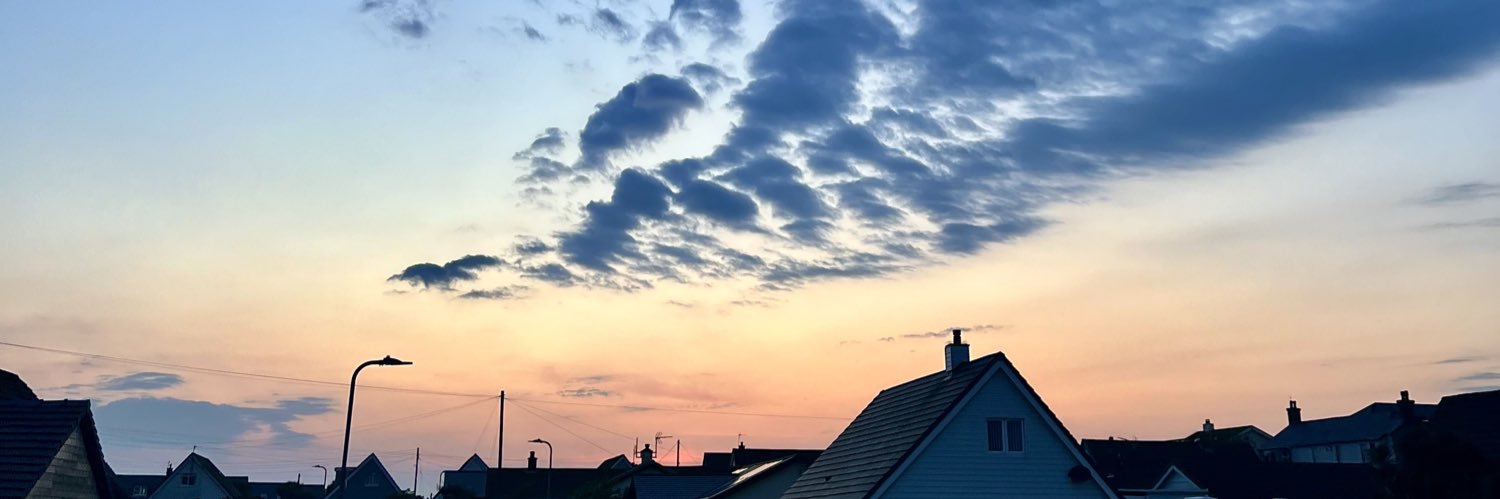 Daniellebillyx's profile banner image
