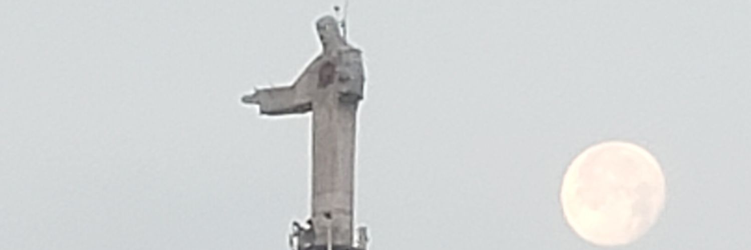 RooGamboa's profile banner image