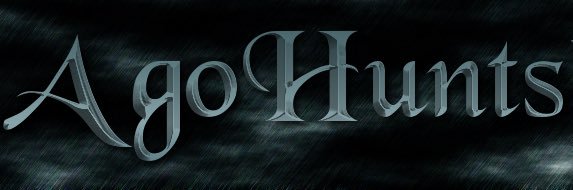 AgoHunts's profile banner image