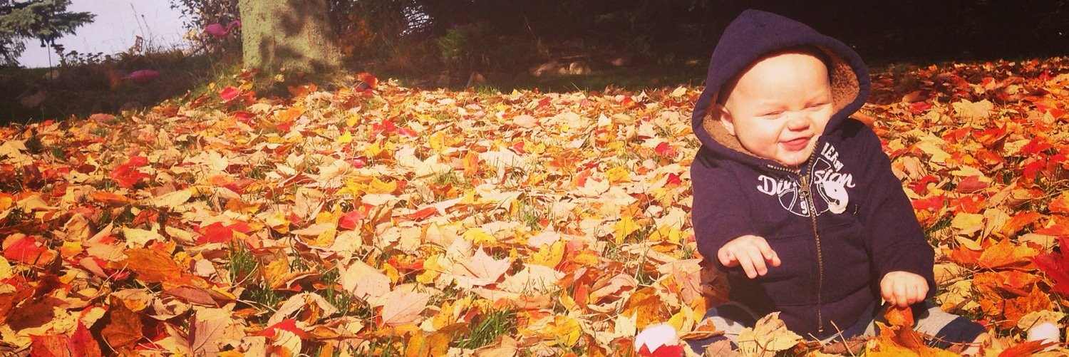 LauraLuau's profile banner image