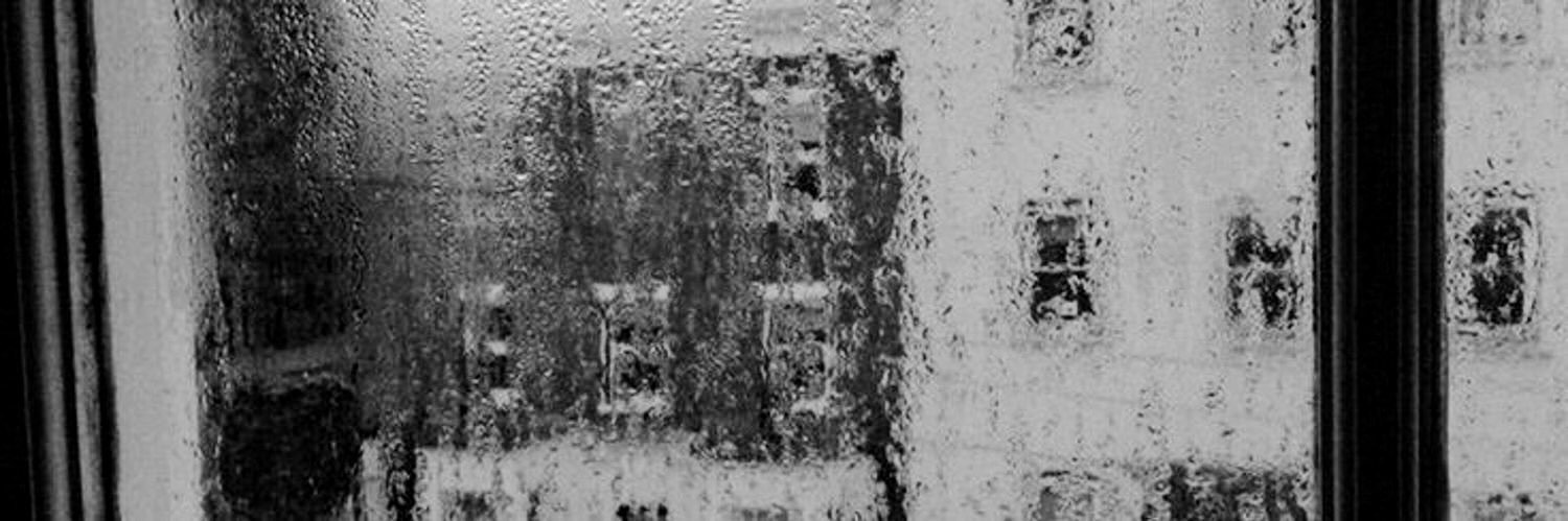 Shog_4_'s profile banner image
