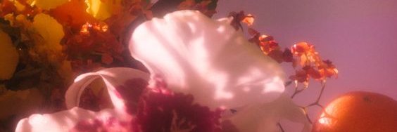 goghasso's profile banner image