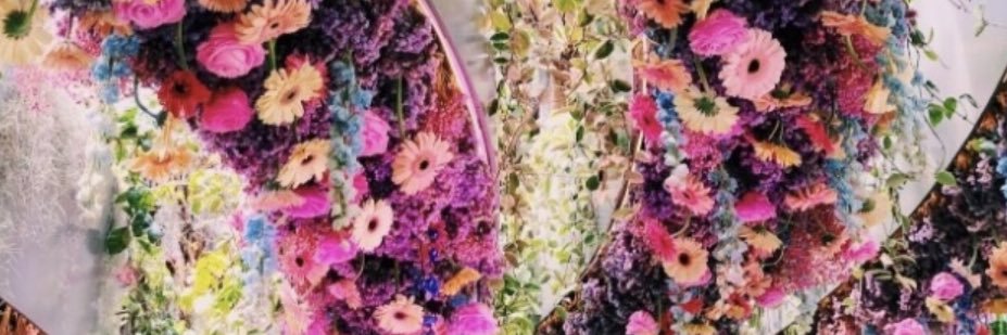 EvynMag's profile banner image