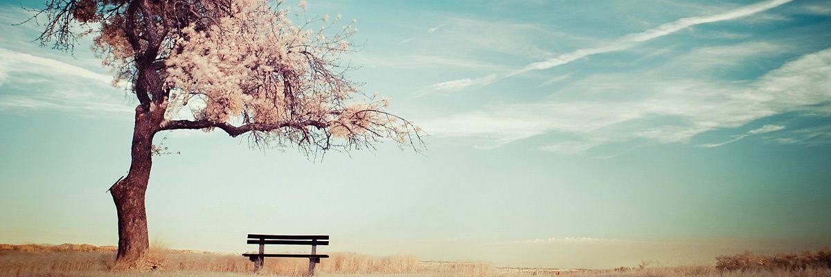 libinantony00's profile banner image