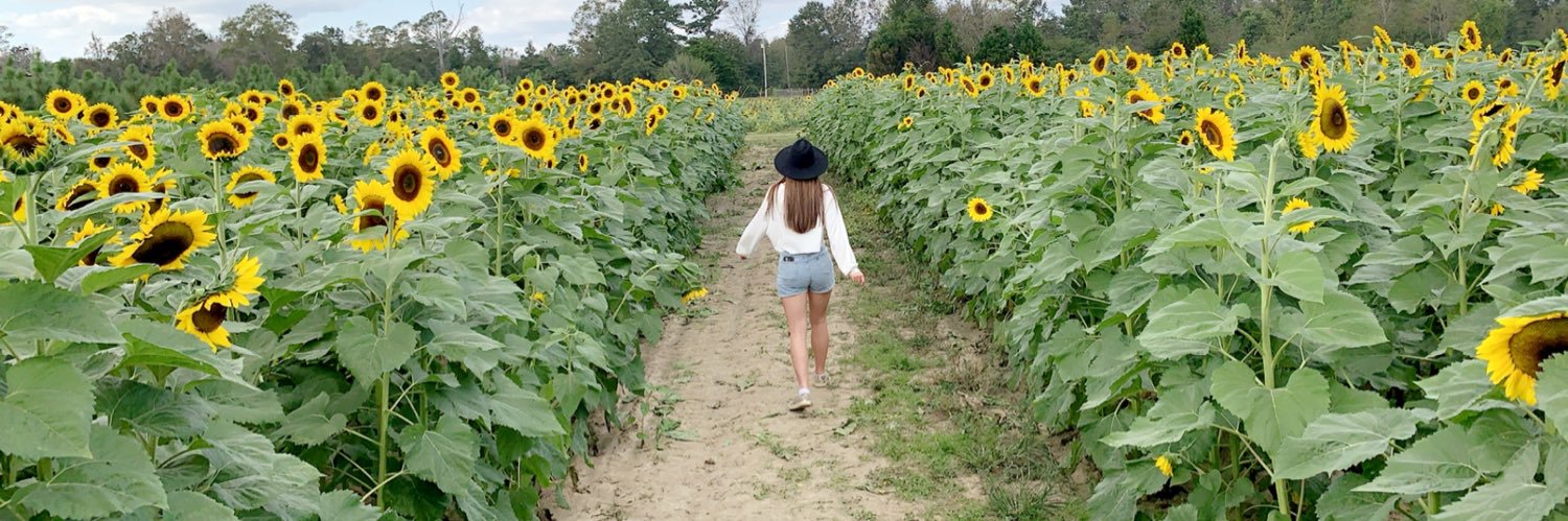 Lexie_Nicole_'s profile banner image