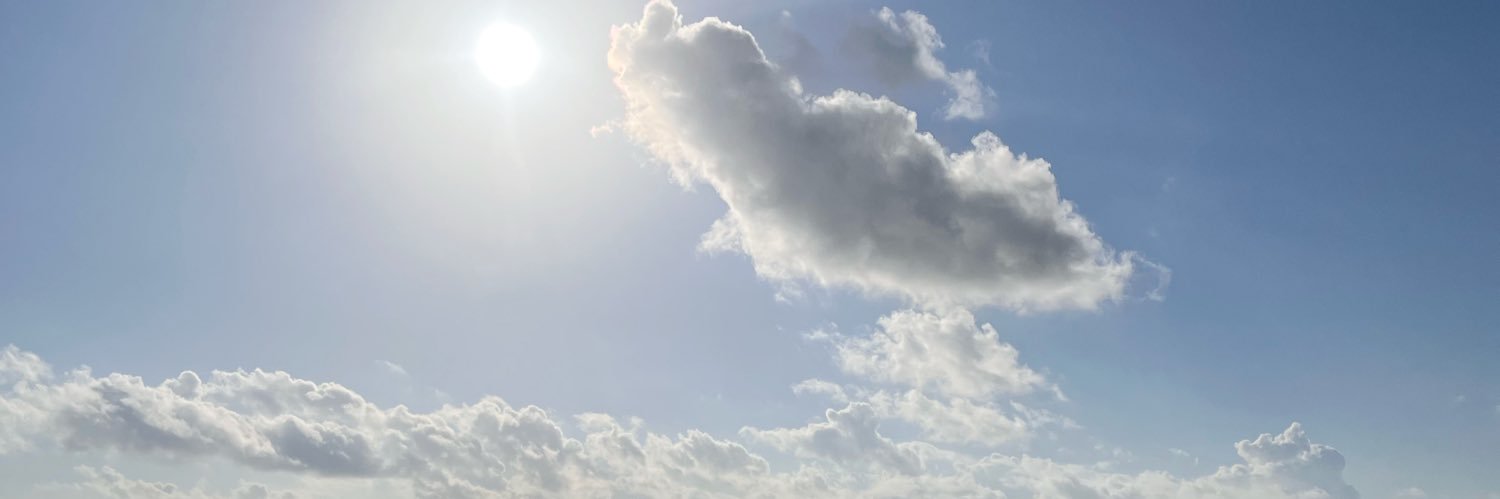 annieolvera1's profile banner image
