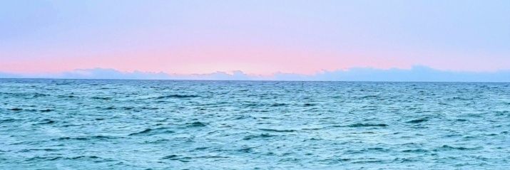 Mary_Sali_'s profile banner image