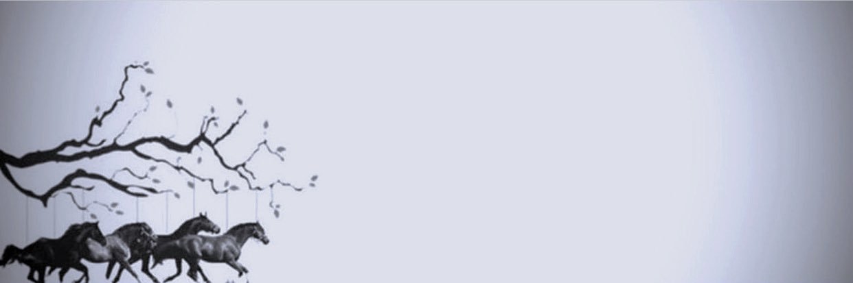 Ali34363M's profile banner image