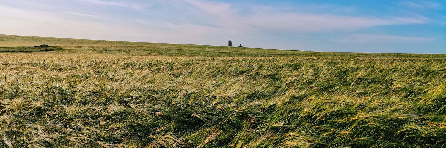 Mr Stark 🐺🌾 banner