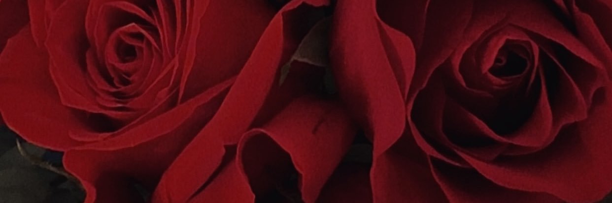amylands_'s profile banner image