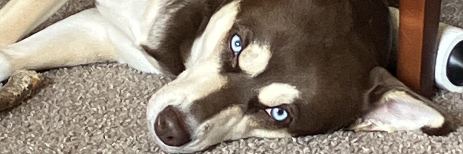 composeyourhoes's profile banner image