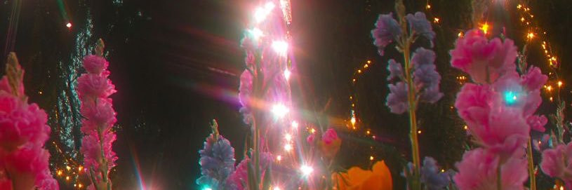 Violet ♡ banner