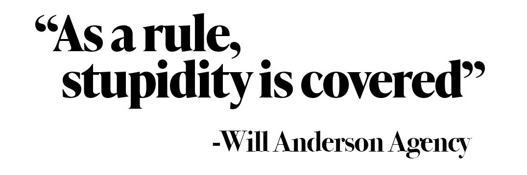 Will Anderson banner