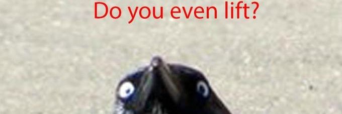 crushedbiscuit's profile banner image