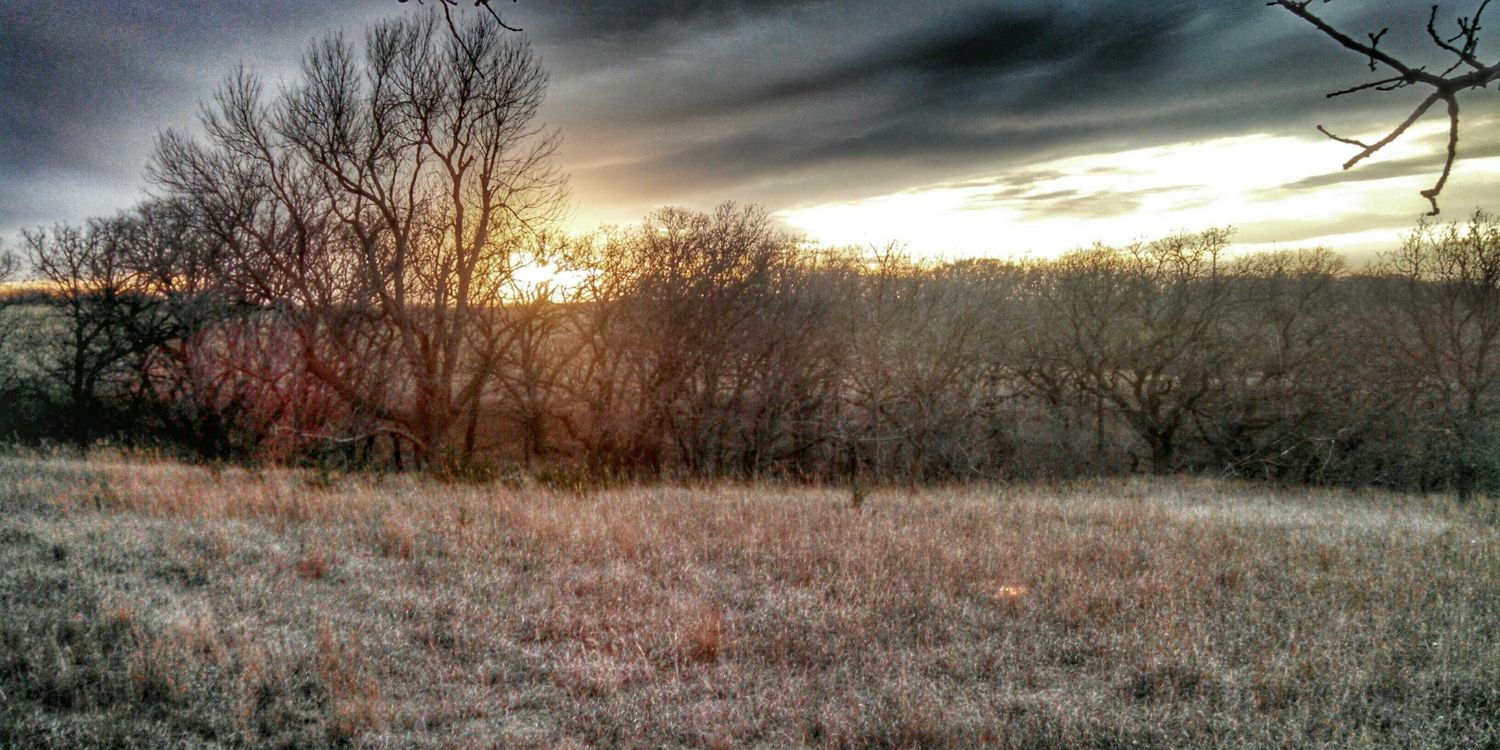 Jarrett_Cody1's profile banner image