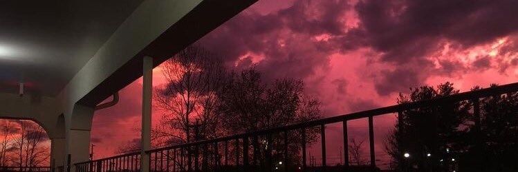 sharpestflies's profile banner image