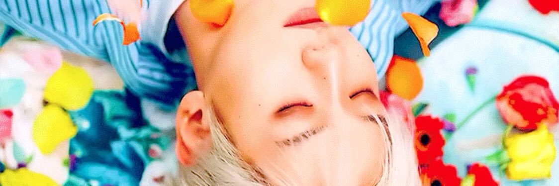 yaco_cb's profile banner image