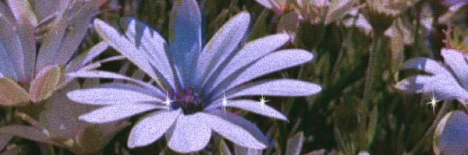 sighedpiece's profile banner image