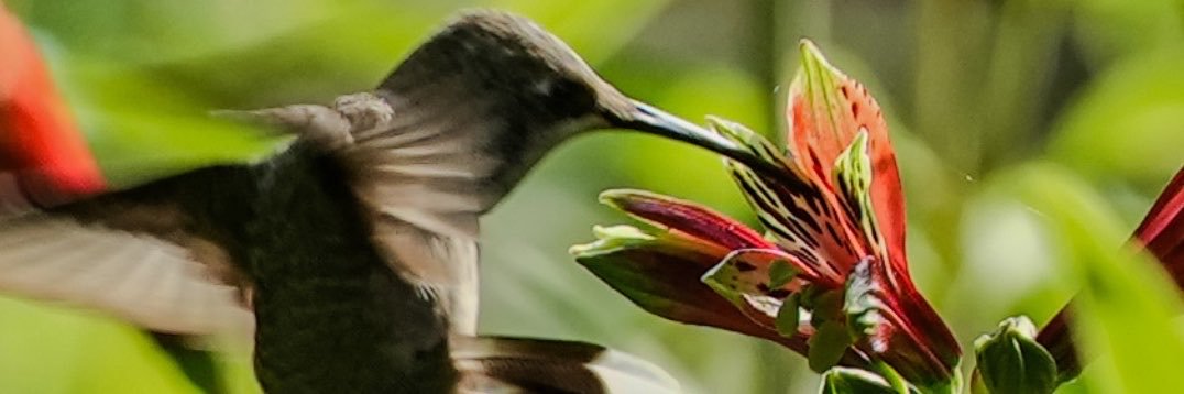 VarnadoMedia's profile banner image