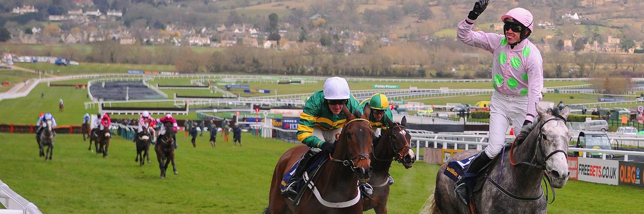 Cheltenham Tips banner
