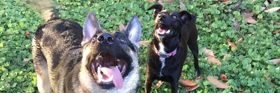 JESRRICH's profile banner image
