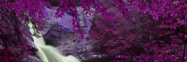Shaaayrell_'s profile banner image